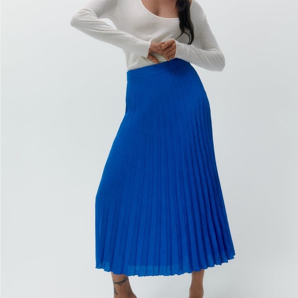 Zara Pleated Midi Skirt - Picture 2 of 2